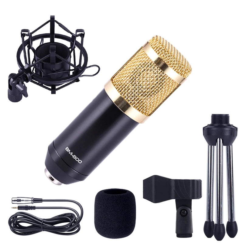 BM-800 Condenser Studio Microphone Kit