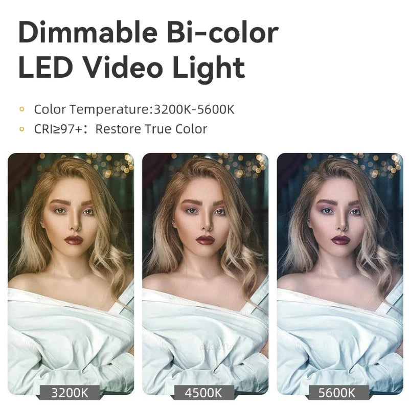 Professional Fill Lighting Photo Studio Lamp Package